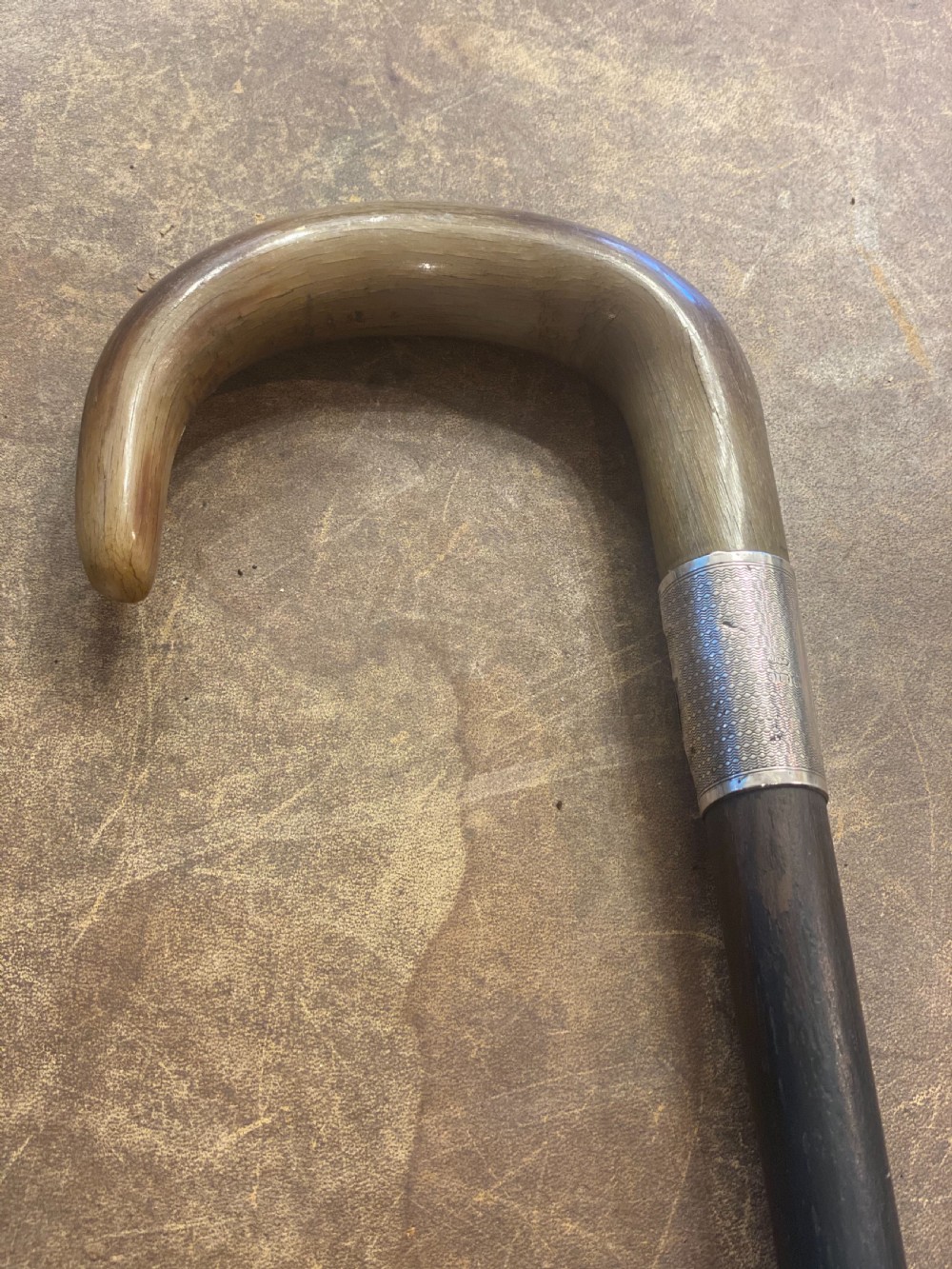 Edwardian horn topped silver collared walking stick View II