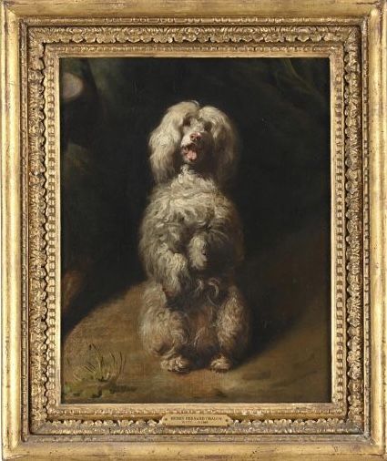 19th century portrait oil painting of a white poodle dog by Henry Bernard Chalon
