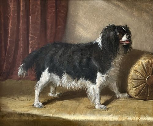 19TH CENTURY PORTRAIT OIL PAINTING OF A SPANIEL DOG IN AN INTERIOR BY SAMUEL JOHN CARTER 18351892 - ADDITIONAL PHOTO 1