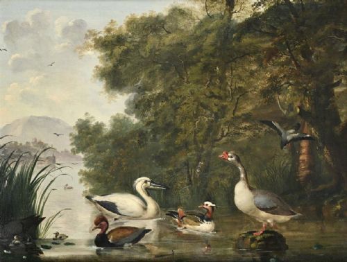 fig 1. 17th century oil painting of a pelican, goose and ducks in a woodland river setting attributed to Marmaduke Cradock (1660-1716)