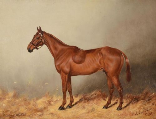 fig 2. Pair of 19th century oil paintings of horses by Henry Frederick Lucas-Lucas (c.1848-1943)