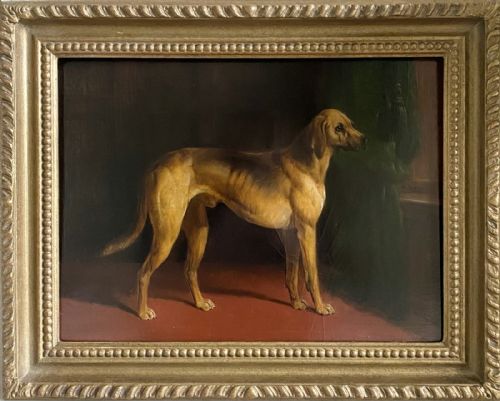 19th Century Painting of a Great Dane by  William Barraud (1810-1850)