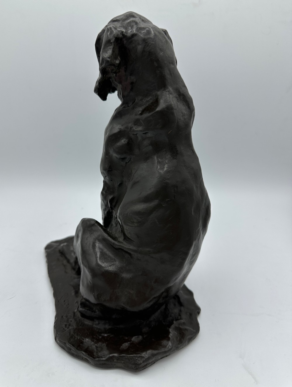 A late 19th century bronze figure of a seated hound, after Prince Paul Troubetzkoy (1866-1938) View VII