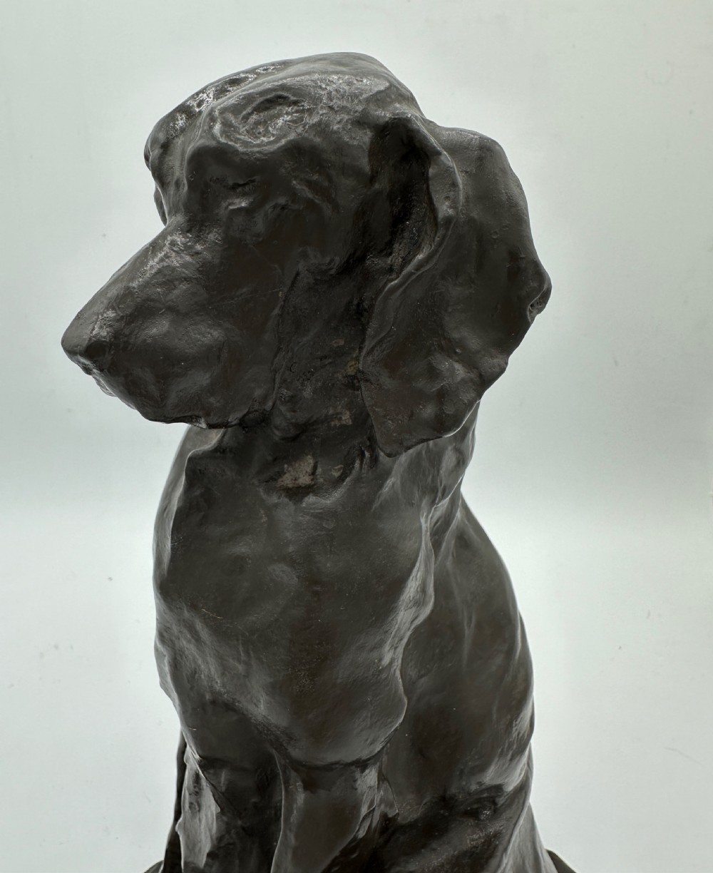 A late 19th century bronze figure of a seated hound, after Prince Paul Troubetzkoy (1866-1938) View IX