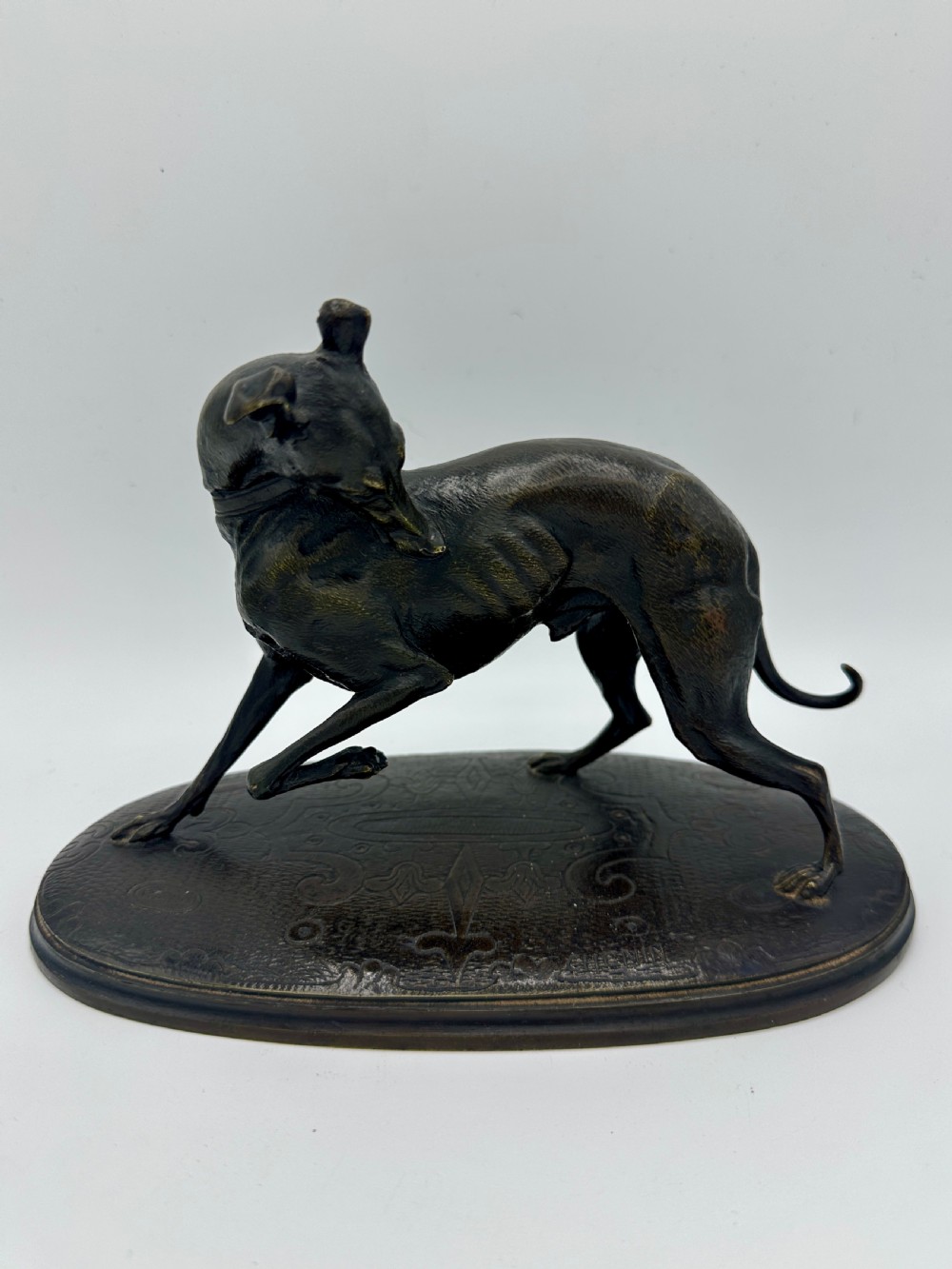 A dark patinated bronze sculpture depicting a greyhound scratching its neck, set on an oval decorated base.