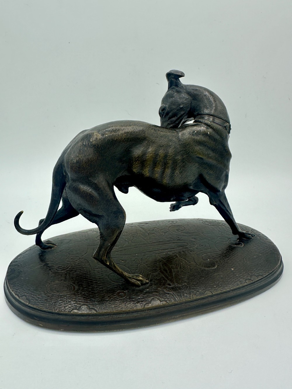 A dark patinated bronze sculpture depicting a greyhound scratching its neck, set on an oval decorated base. View IV