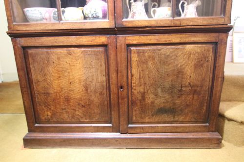 FINE GEORGIAN MAHOGANY GLAZED DISPLAY CABINET - ADDITIONAL PHOTO 1