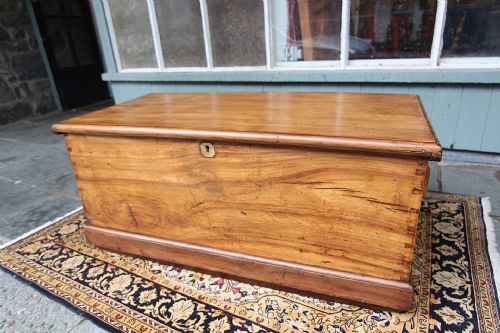 STUNNING LATE GEORGIAN CAMPHORWOOD SEA CHEST - ADDITIONAL PHOTO 1