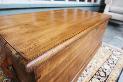 STUNNING LATE GEORGIAN CAMPHORWOOD SEA CHEST - ADDITIONAL PHOTO 2