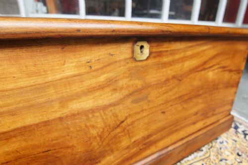 STUNNING LATE GEORGIAN CAMPHORWOOD SEA CHEST - ADDITIONAL PHOTO 3
