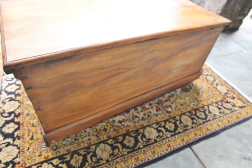 STUNNING LATE GEORGIAN CAMPHORWOOD SEA CHEST - ADDITIONAL PHOTO 6