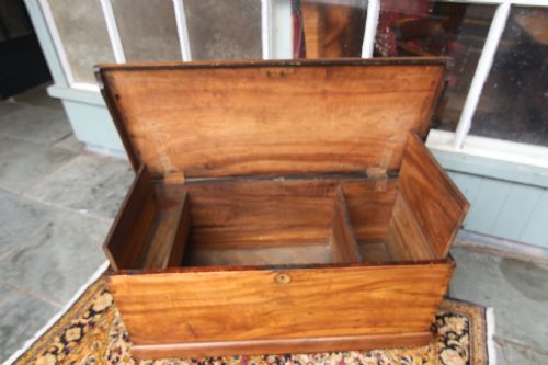 STUNNING LATE GEORGIAN CAMPHORWOOD SEA CHEST - ADDITIONAL PHOTO 7
