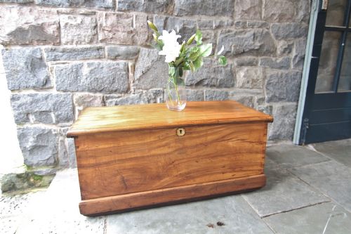 STUNNING LATE GEORGIAN CAMPHORWOOD SEA CHEST - ADDITIONAL PHOTO 11