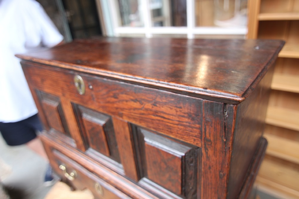 Alternate View