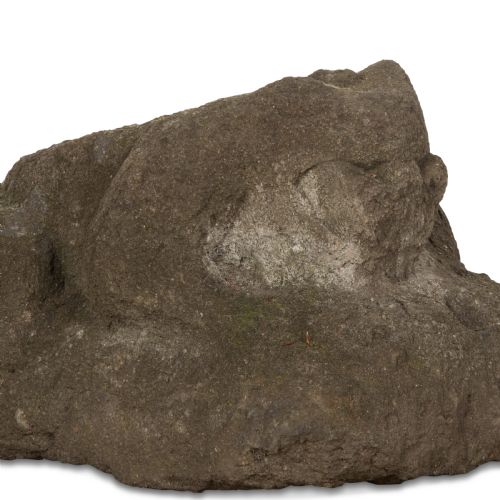 19TH CENTURY ENGLISH CARVED STONE FROG - ADDITIONAL PHOTO 6