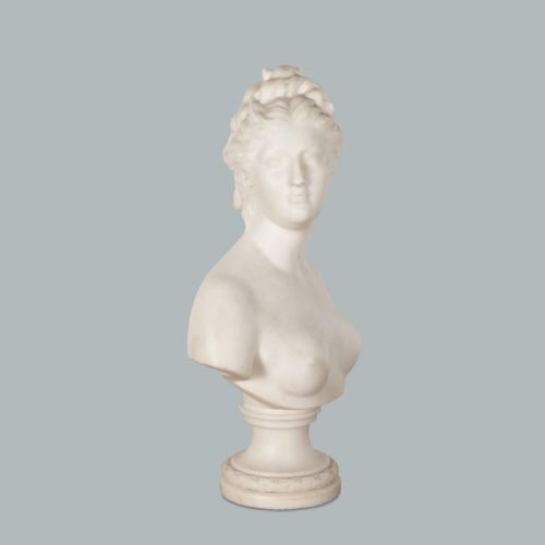 18TH CENTURY MARBLE BUST OF DIANA BY HOUDON - ADDITIONAL PHOTO 14