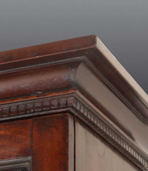 18TH CENTURY GEORGE III MAHOGANY LIBRARY BOOKCASE - ADDITIONAL PHOTO 6