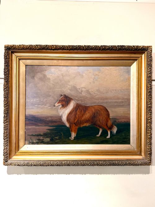 C19th Oil Painting on Board of a Dog