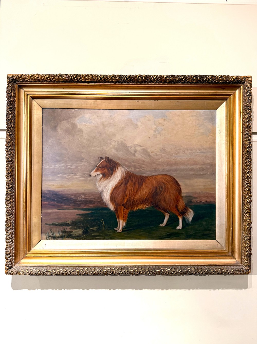 A 19th-century oil painting on board depicting a sable and white Rough Collie in profile against an open landscape, set within an ornate gilt frame.