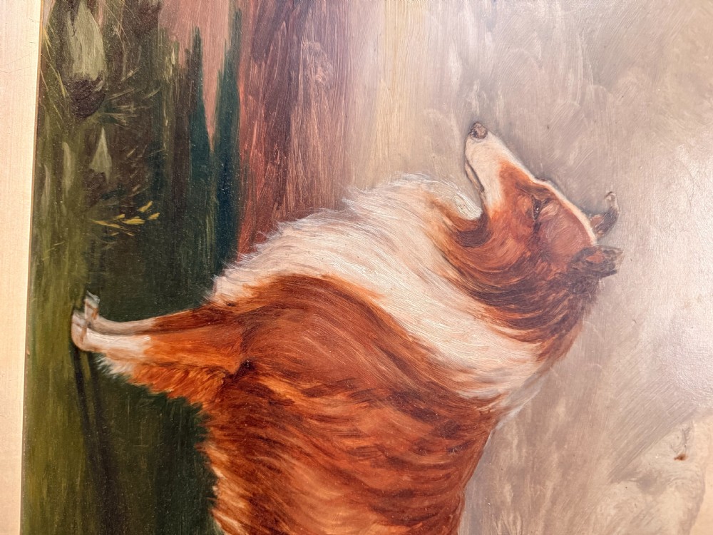 A 19th-century oil painting on board depicting a sable and white Rough Collie in profile against an open landscape, set within an ornate gilt frame. View III