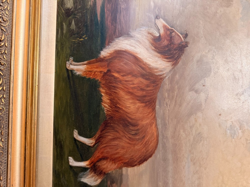 A 19th-century oil painting on board depicting a sable and white Rough Collie in profile against an open landscape, set within an ornate gilt frame. View IV