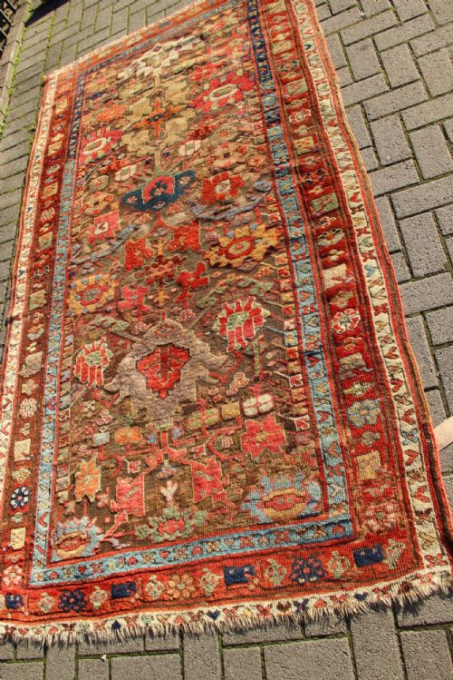 133 X 246 Early 19th Century Highly Collectable Kurdish Rug, Sauj Bulagh Tribe