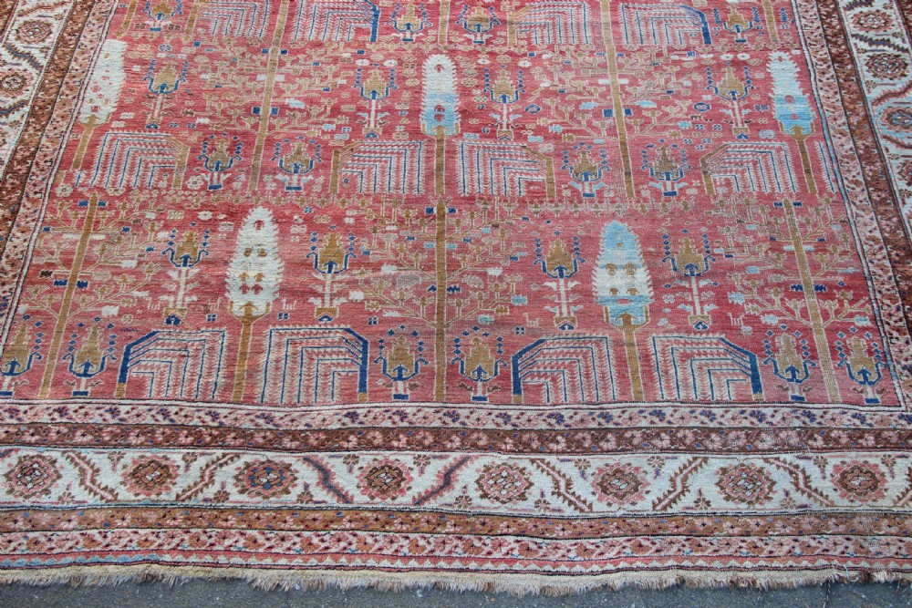 380 x 419cm Magnificent Bakshiash Carpet, Woollen Foundation View II