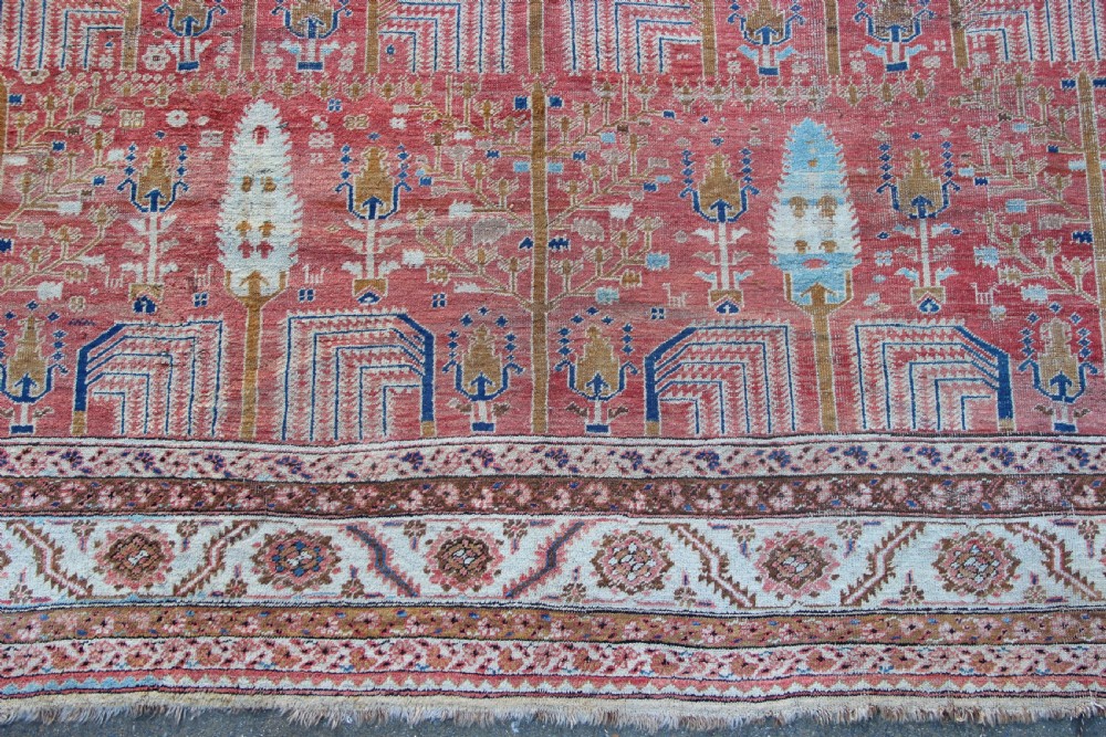 380 x 419cm Magnificent Bakshiash Carpet, Woollen Foundation View III