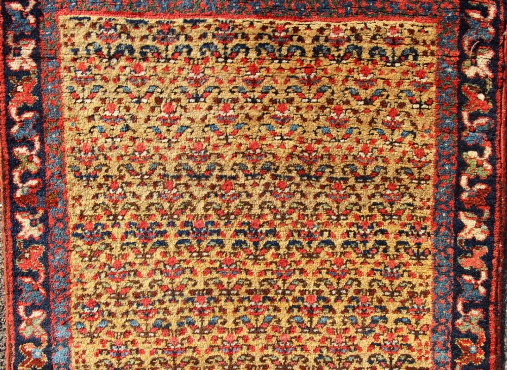 76 x 548cm Very Long And Narrow Antique Kurdish Runner View II