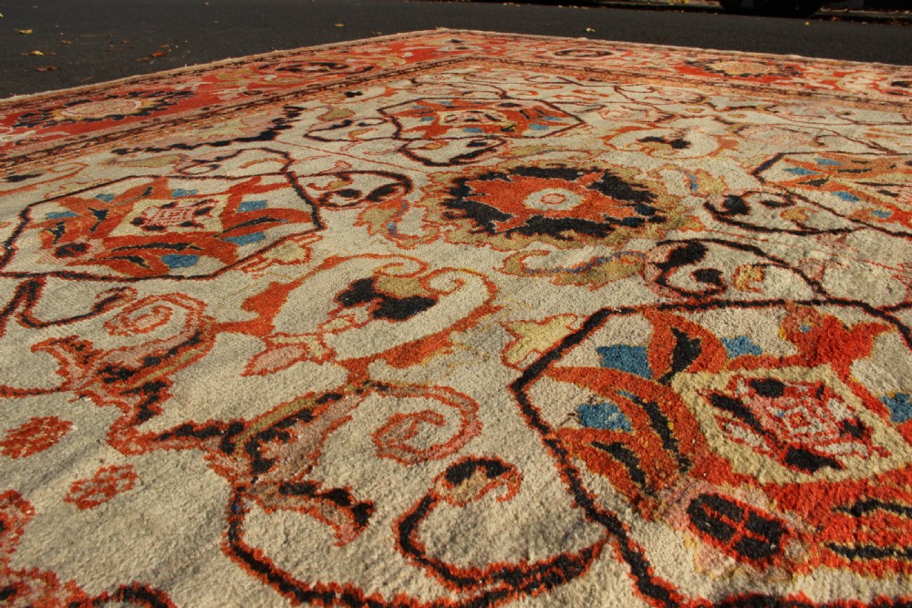 389 x 413cm Antique Ivory Ziegler & Co Carpet View II