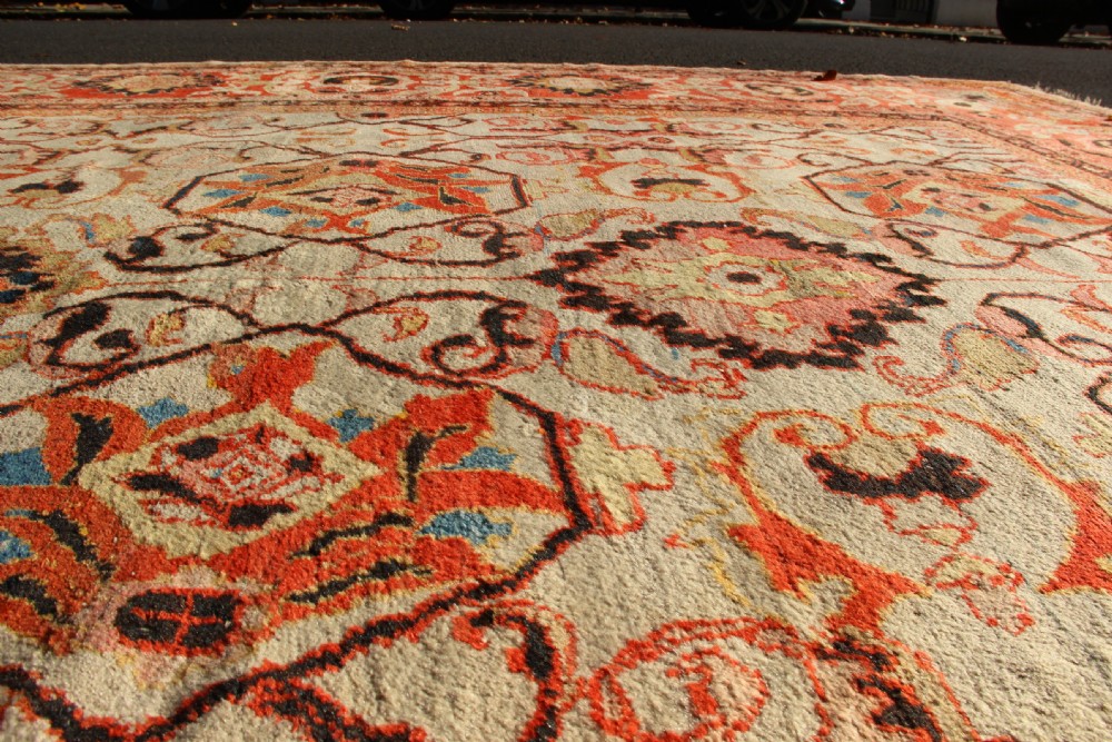 389 x 413cm Antique Ivory Ziegler & Co Carpet View IV