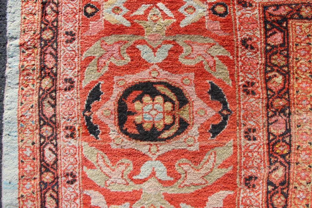 389 x 413cm Antique Ivory Ziegler & Co Carpet View XI