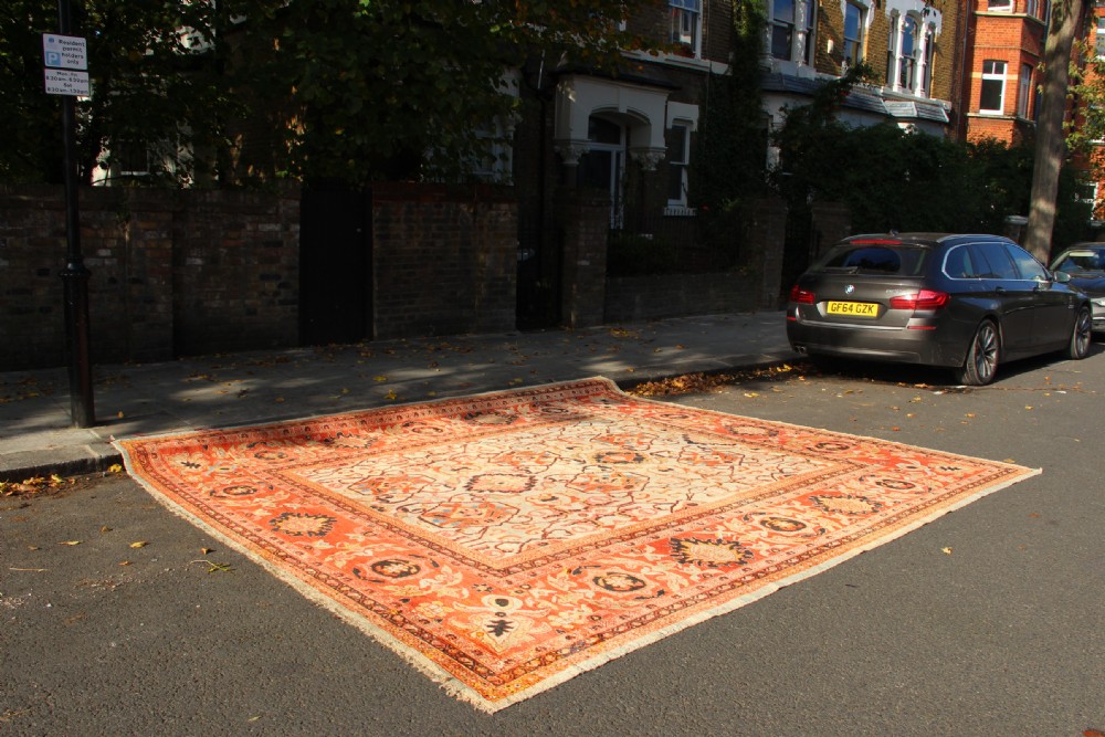 389 x 413cm Antique Ivory Ziegler & Co Carpet View XII