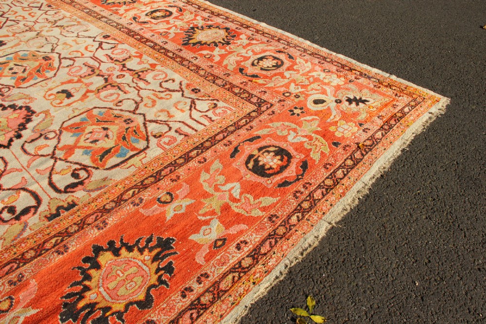 389 x 413cm Antique Ivory Ziegler & Co Carpet View XIII