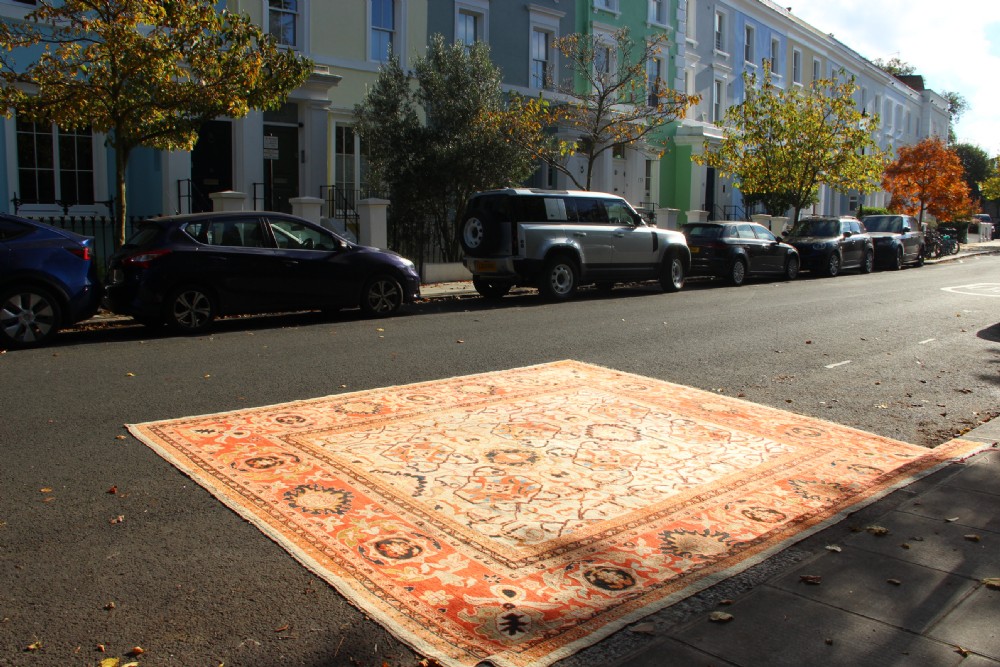 389 x 413cm Antique Ivory Ziegler & Co Carpet View XIV