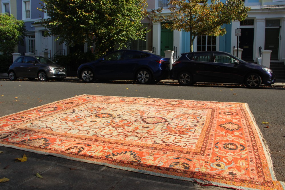 389 x 413cm Antique Ivory Ziegler & Co Carpet View XV