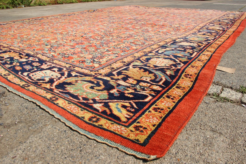A large antique Persian Mahal carpet featuring an all-over floral lattice pattern in terracotta with a dark navy blue floral border. View XIII