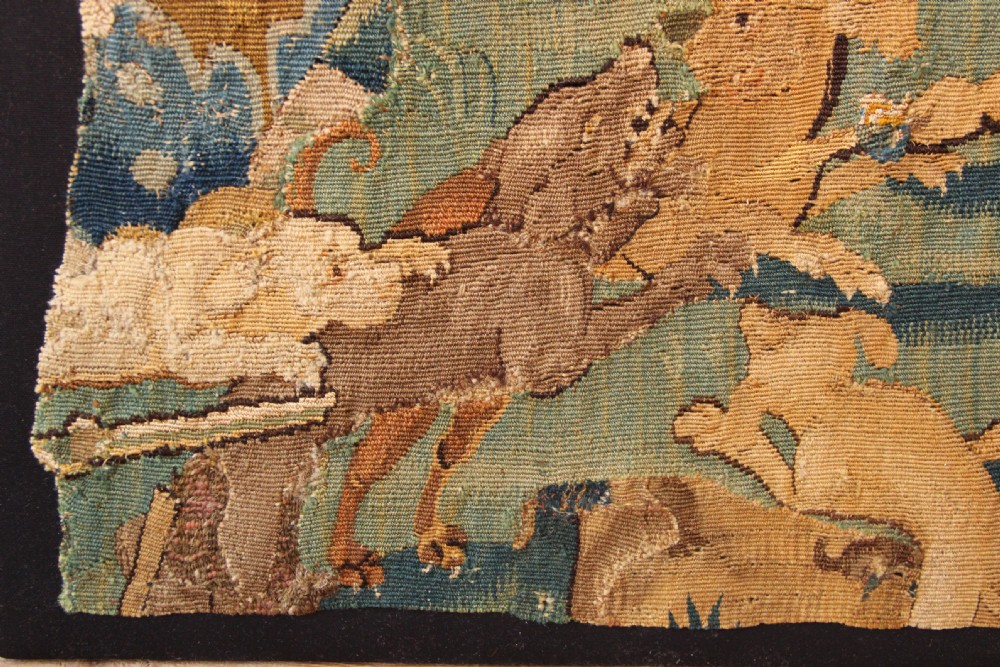 A seventeenth-century Flemish woven wool tapestry fragment depicting hounds in a wooded parkland landscape, mounted on a dark board. View III