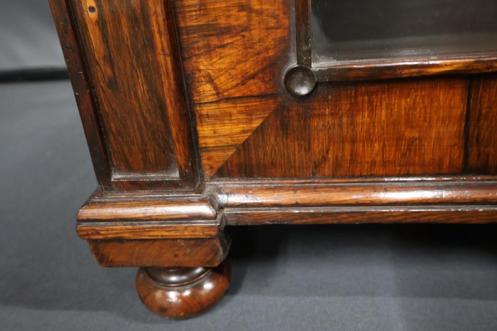 A Regency dark rosewood pier cabinet featuring a single glazed door revealing internal shelves, set on turned bun feet. View VIII