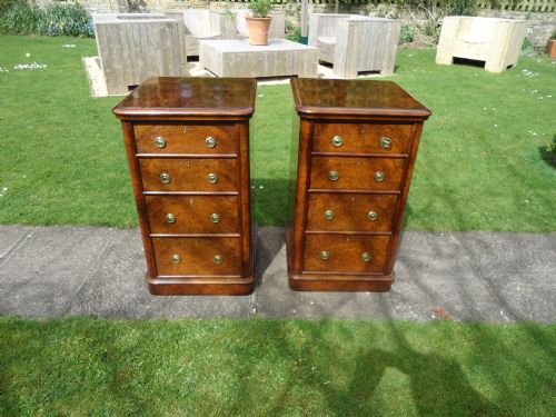 Pair of 19th Century Burr Walnut Bedside Chests/cabinets