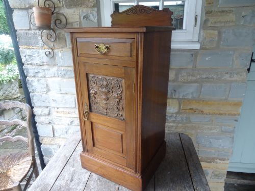 19th Century Bedside Cabinet/cupboard