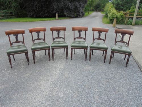 Set of Six Late Regency Lyre Back Mahogany Dining Chairs of Generous Proportions.