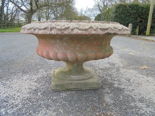Well Weathered  19th Century Terracotta Garden Urn