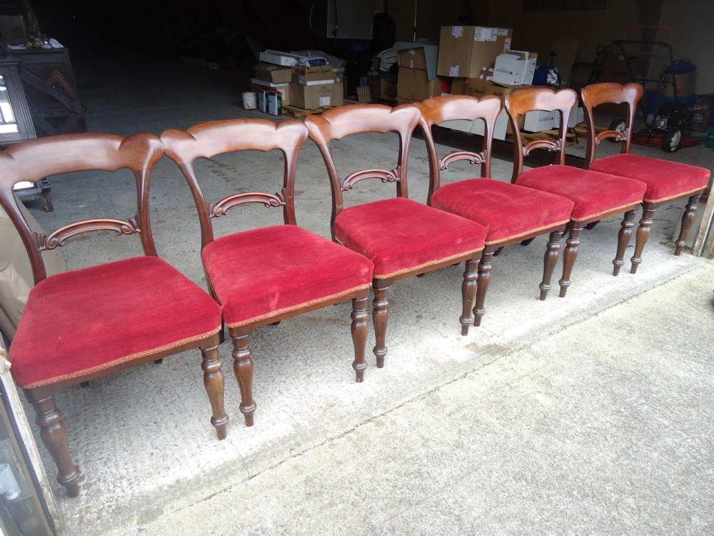 Set of six William 1V upholstered  mahogany dining chairs