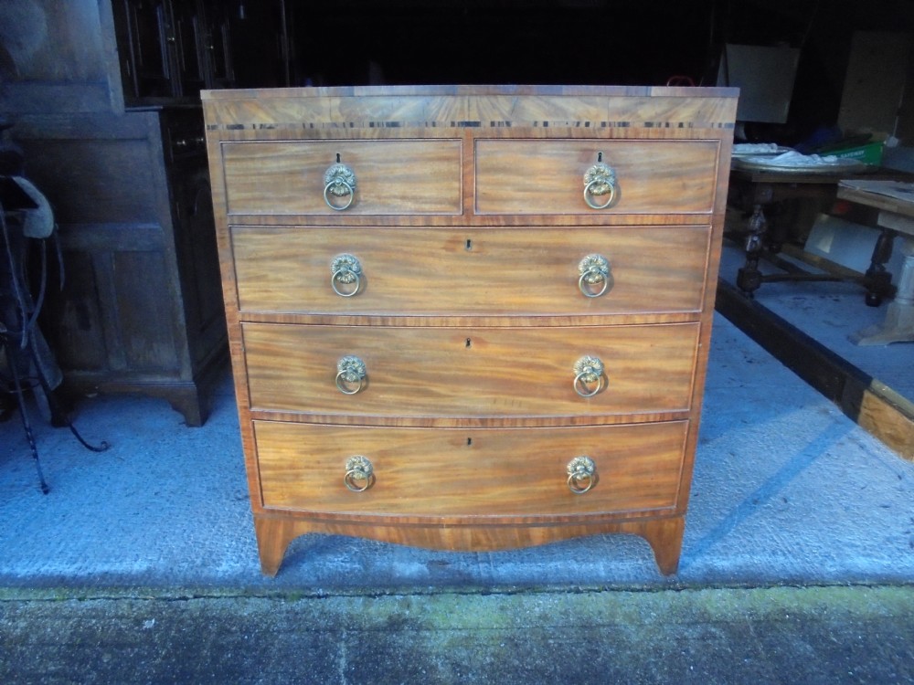 Early Victorian bow front chest of drawers