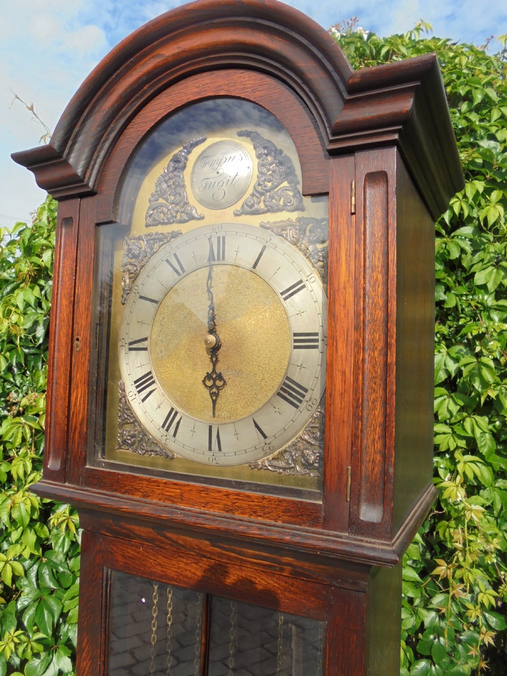 Three weight driven oak case , brass face longcase clock. circa 1900 View III