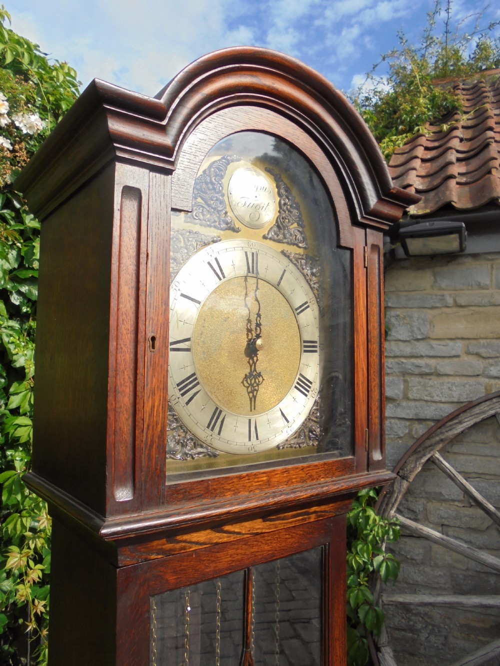 Three weight driven oak case , brass face longcase clock. circa 1900 View IV