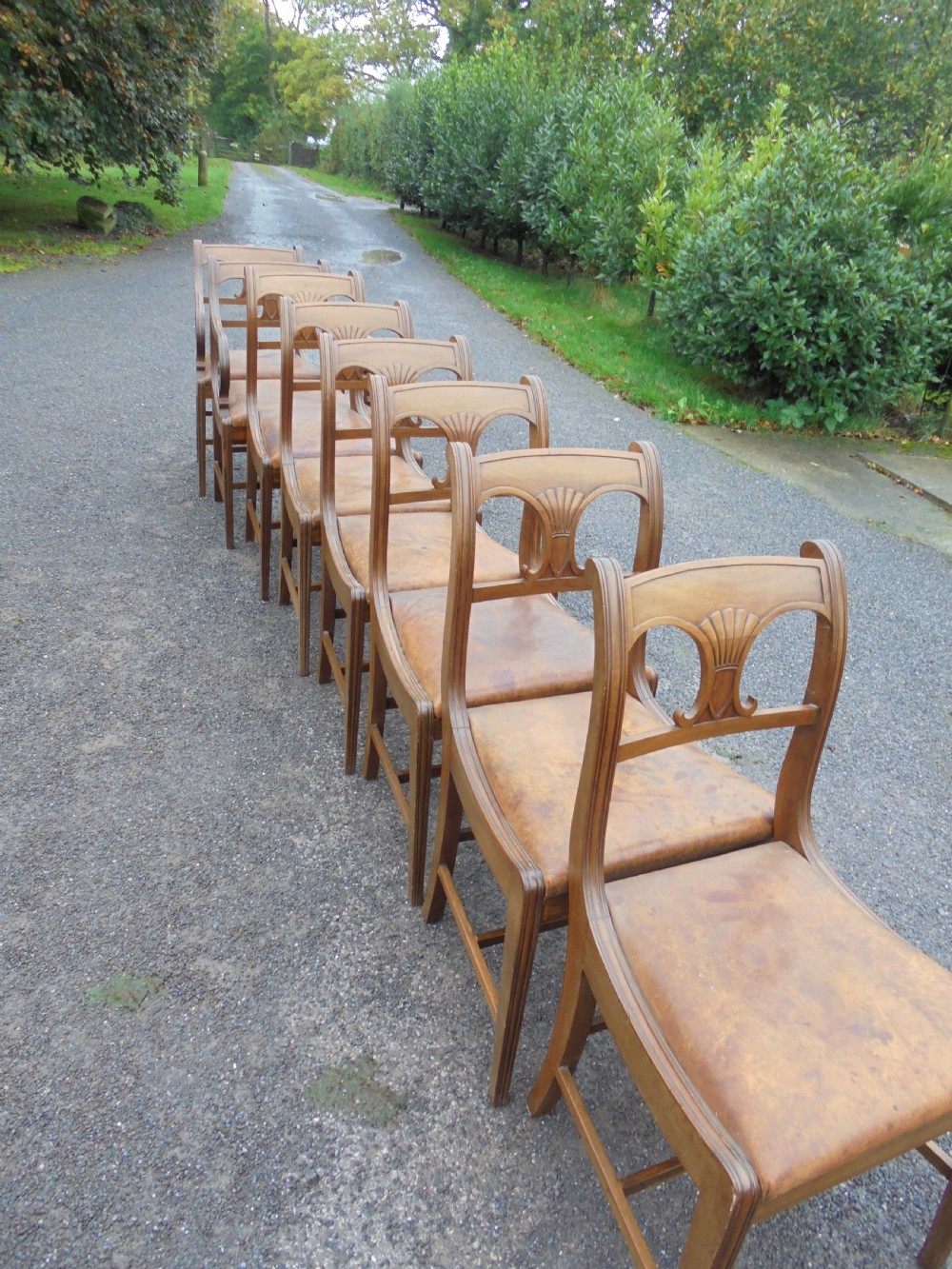 Set of eight (six plus two) Regency mahogany leather seat dining chairs View II
