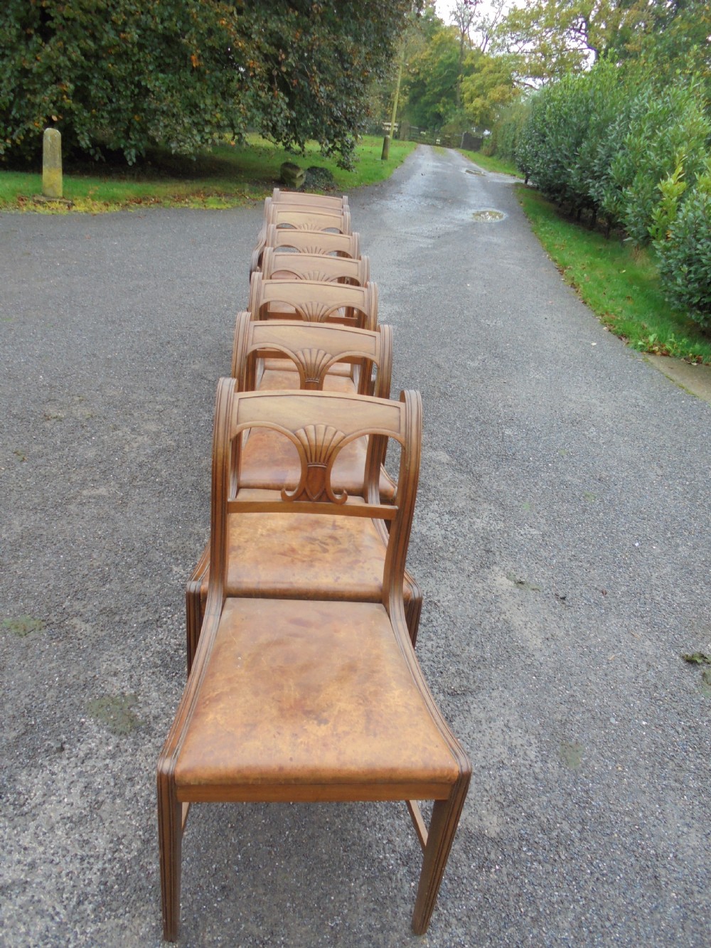 Set of eight (six plus two) Regency mahogany leather seat dining chairs View V