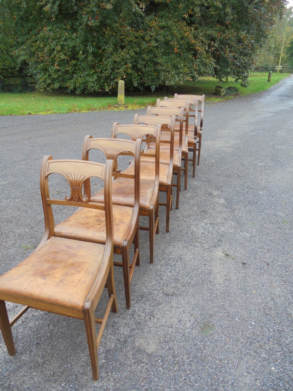 Set of eight (six plus two) Regency mahogany leather seat dining chairs View VI